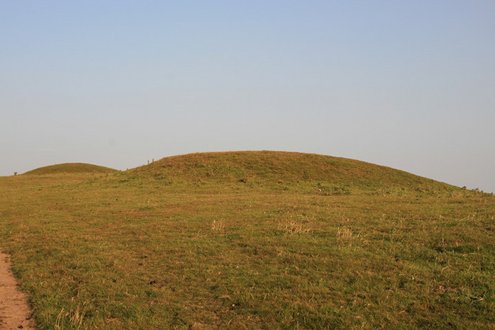 Tulk's Hill (Round Barrow(s)) by Lubin