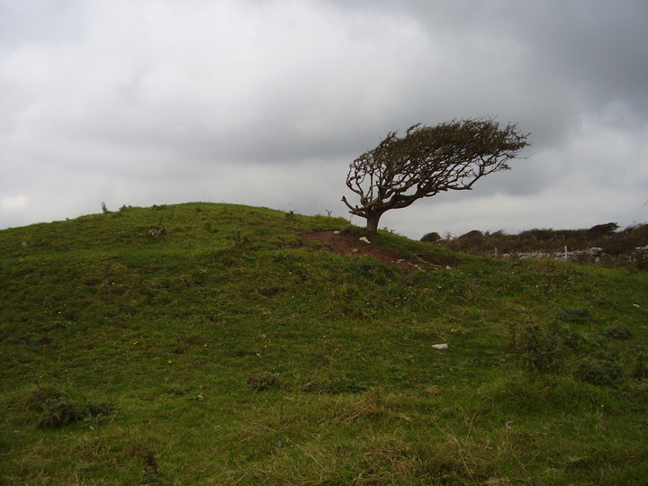 Worth Matravers (Round Barrow(s)) by formicaant