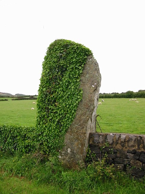 Maenaddwyn (Standing Stone / Menhir) by stubob