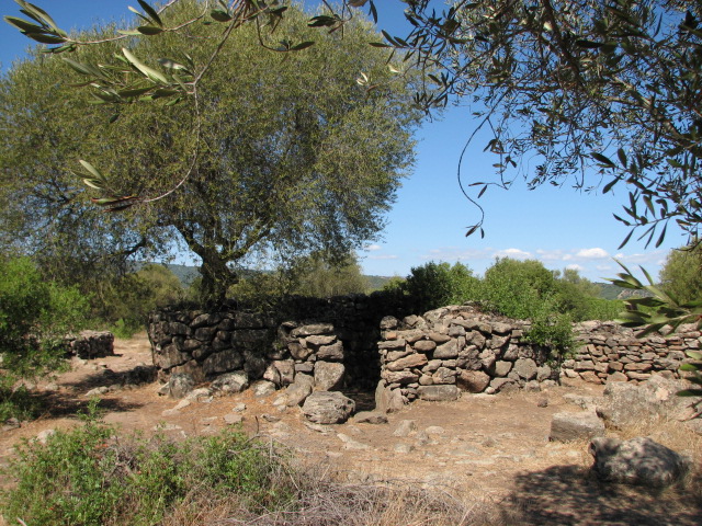Serra Orrios village (Ancient Village / Settlement / Misc. Earthwork) by sals