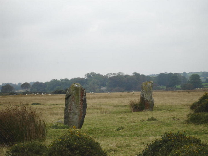 Gors Fawr (Stone Circle) by moss