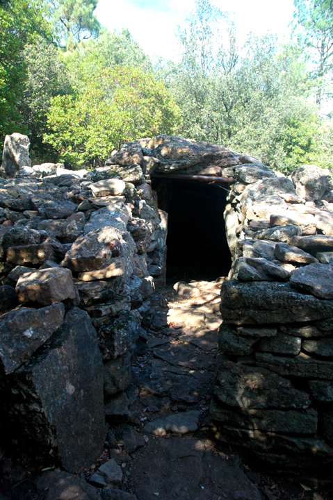Le grand dolmen de la Bergerie-de-Panissiere (Dolmen / Quoit / Cromlech) by Jane