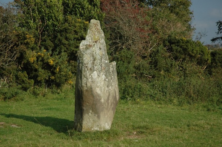 Ballynaclogh South (Standing Stone / Menhir) by ryaner
