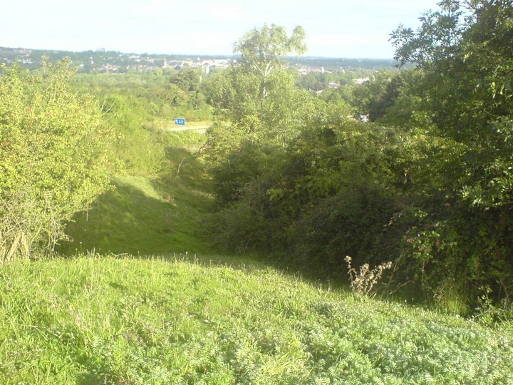 St Catherine's Hill (Hillfort) by UncleRob