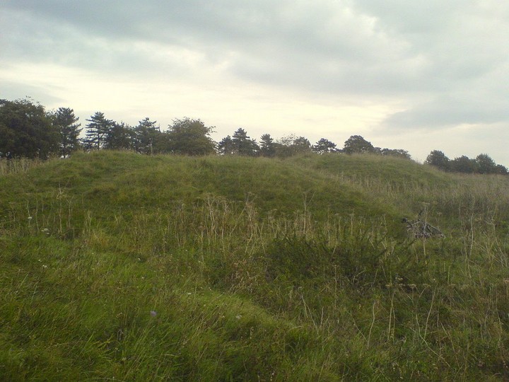 Magdalen Hill Down Barrows (Barrow / Cairn Cemetery) by UncleRob