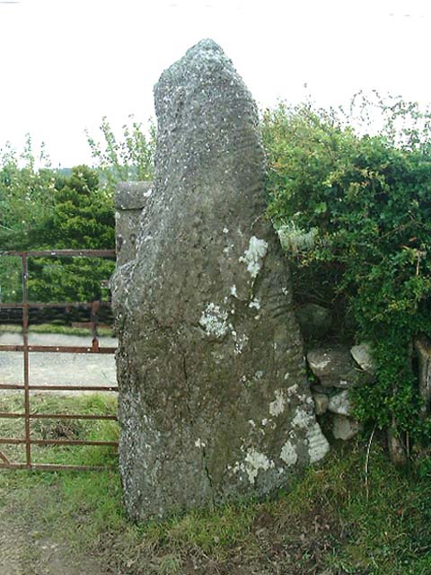 Ballyquin (Standing Stone / Menhir) by megaman