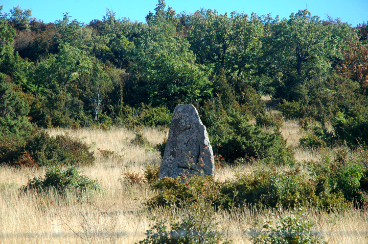 Menhir de la Cisternette (Standing Stone / Menhir) by Moth