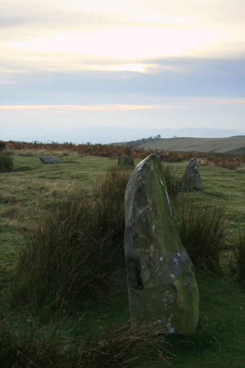 Mitchell's Fold (Stone Circle) by postman