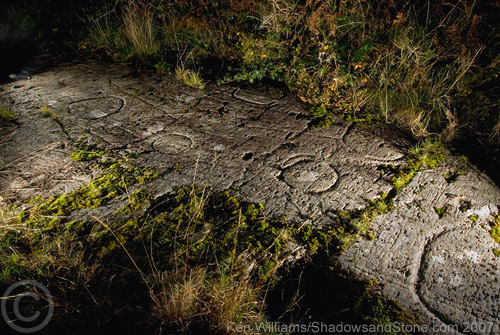 Ballybane (The Rock of the Rings) (Cup and Ring Marks / Rock Art) by CianMcLiam