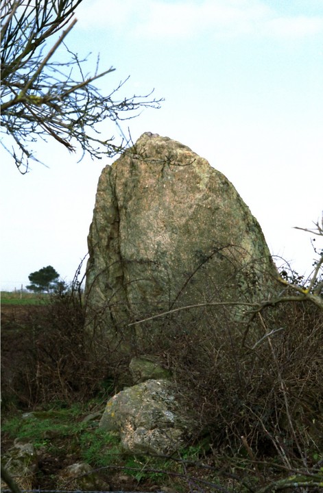 Menhir de Mégerie (Standing Stone / Menhir) by Spaceship mark