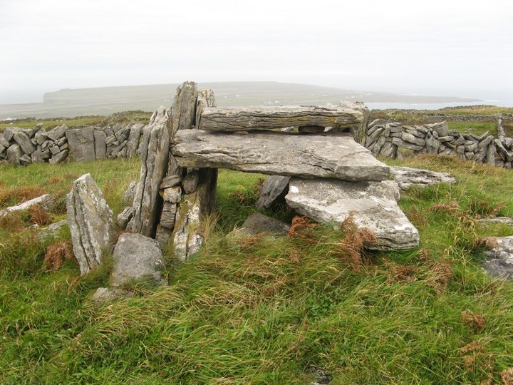 Cowragh (Chambered Tomb) by bawn79
