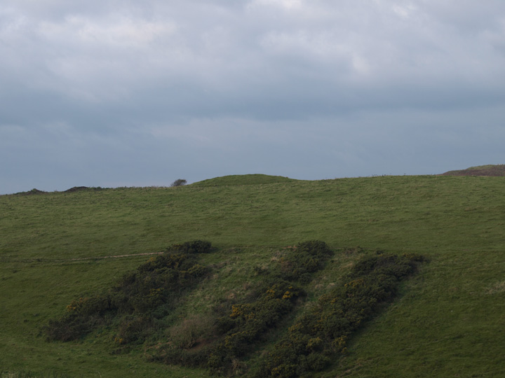 Stone Hill Down (Long Barrow) by formicaant