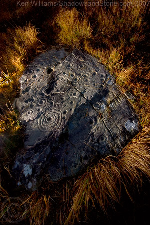 Derrynablaha 11 (Cup and Ring Marks / Rock Art) by CianMcLiam