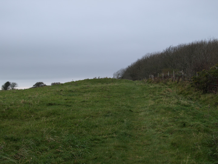 Knowle Hill (Round Barrow(s)) by formicaant