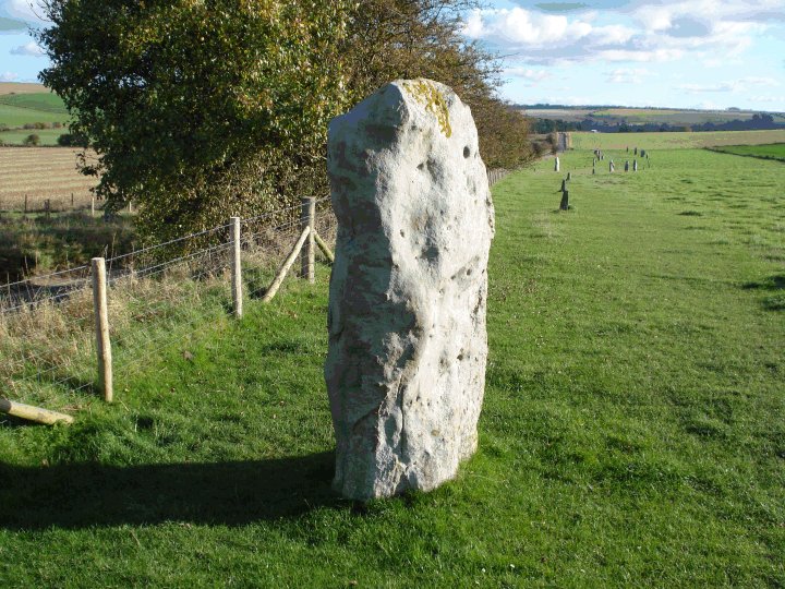 Avenue stone with axe grinding marks (Carving) by Chance