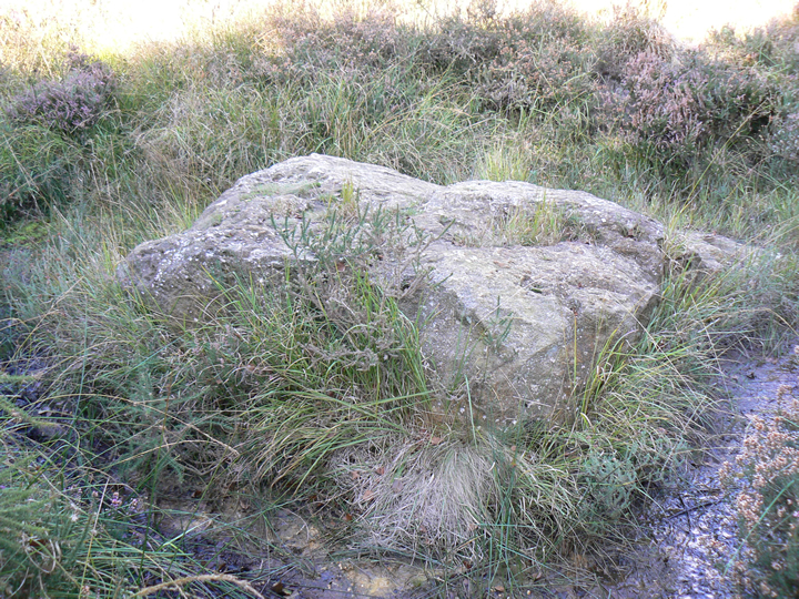 Verwood Stone (Standing Stone / Menhir) by goffik