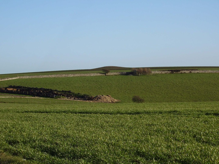 Ridgeway Hill (Round Barrow(s)) by formicaant