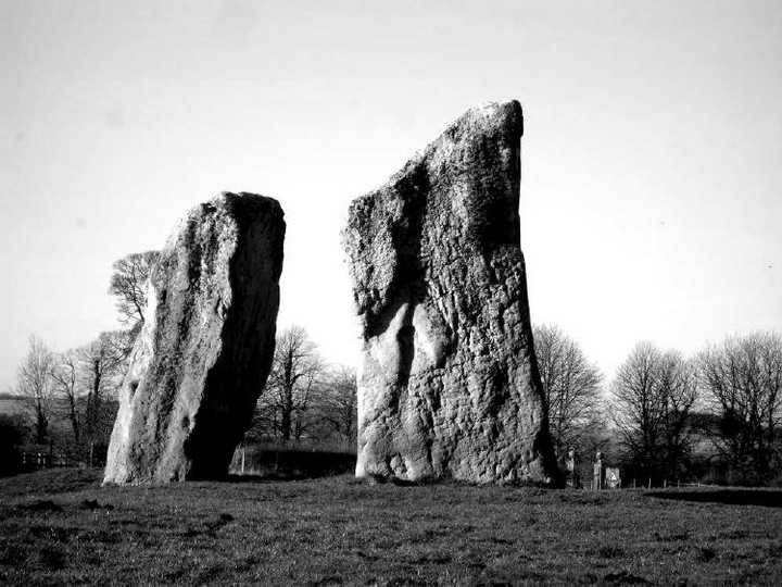 The Cove (Standing Stones) by moss