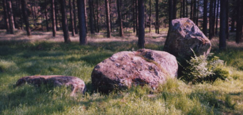 Nine Stanes (Stone Circle) by sals