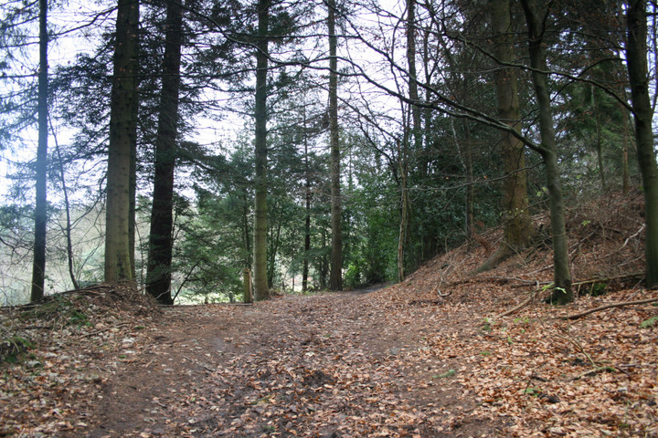 Nesscliffe Hill Camp (Hillfort) by postman