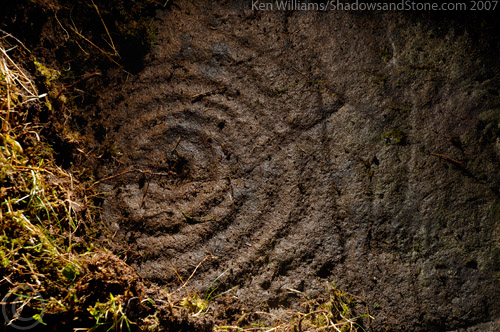 Mevagh (Cup and Ring Marks / Rock Art) by CianMcLiam