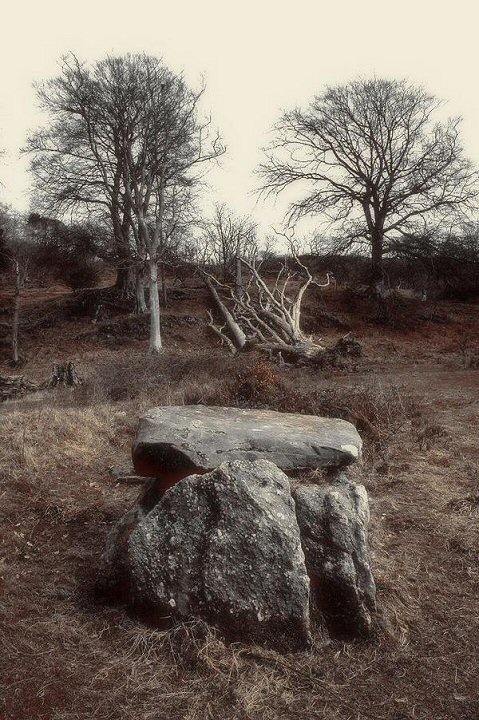 Haylie (Chambered Tomb) by Max Bolar