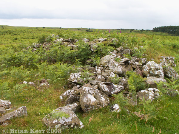 Fauldinchie (Burnt Mound / Fulacht Fia) by rockartwolf