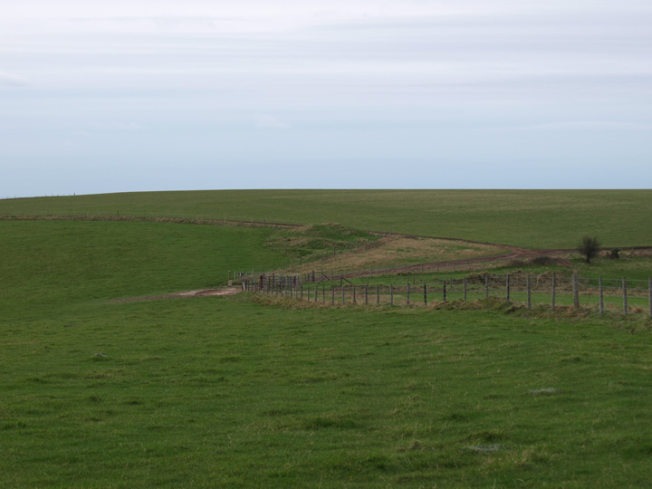 Chaldon Down (Barrow / Cairn Cemetery) by formicaant