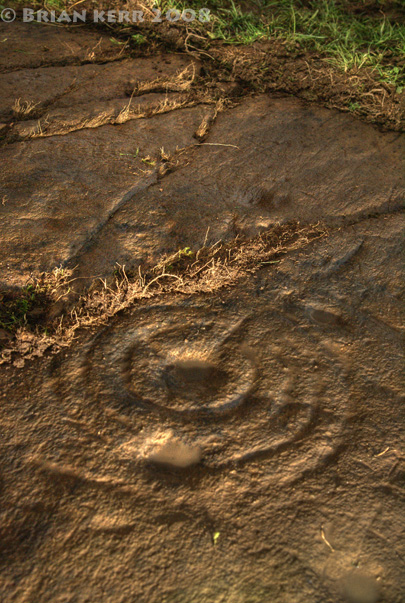 Culnoag (Cup and Ring Marks / Rock Art) by rockartwolf