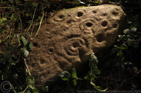 Tinncarrig (Cup and Ring Marks / Rock Art) by CianMcLiam