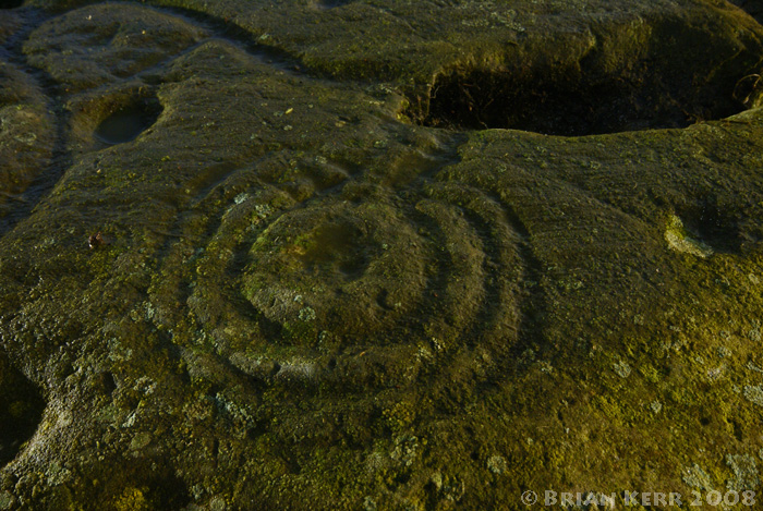 Broughton Mains (Cup and Ring Marks / Rock Art) by rockartwolf