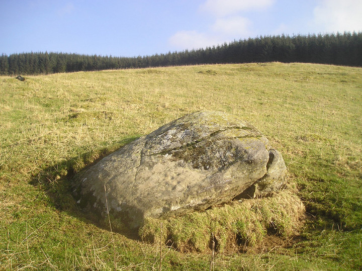 Glengoulandie (Cup Marked Stone) by tiompan