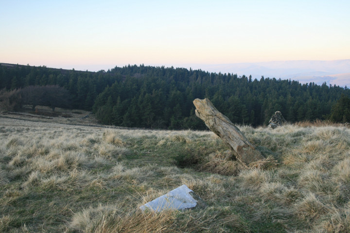 Foxlowe Edge (Standing Stone / Menhir) by postman