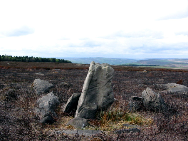 Gibbet Moor Standing Stones (Standing Stone / Menhir) by stubob