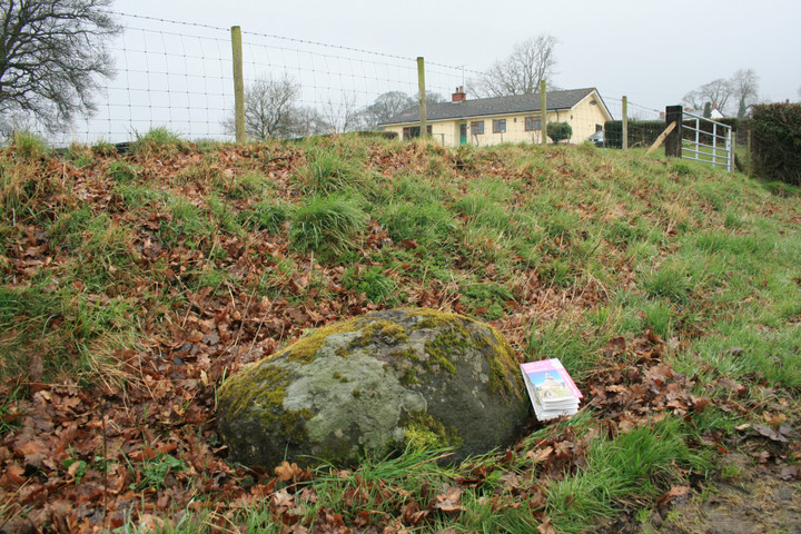 Kinnerton Court Stone II (Standing Stone / Menhir) by postman