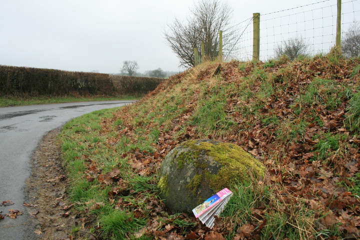 Kinnerton Court Stone II (Standing Stone / Menhir) by postman