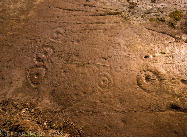 Blairbuy 4 (Cup and Ring Marks / Rock Art) by rockartwolf