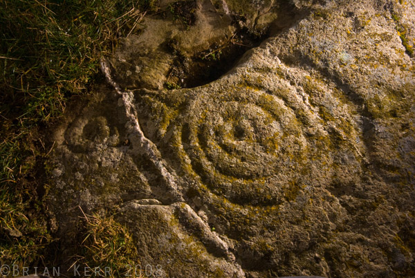 Blairbuy 1 (Cup and Ring Marks / Rock Art) by rockartwolf