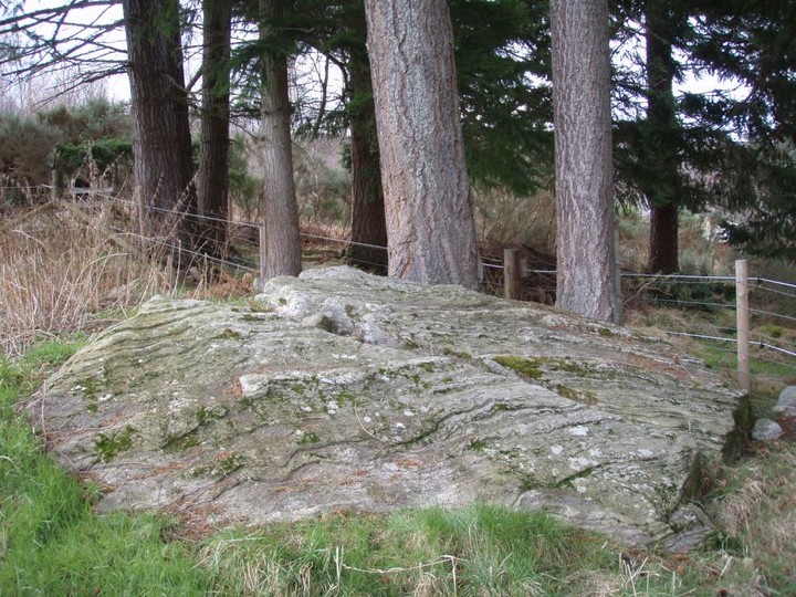Clach Bhan (Cup Marked Stone) by 12pointer