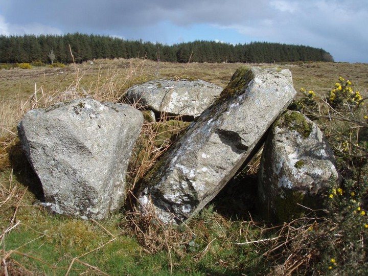 Loughmacrory I (Wedge Tomb) by 12pointer