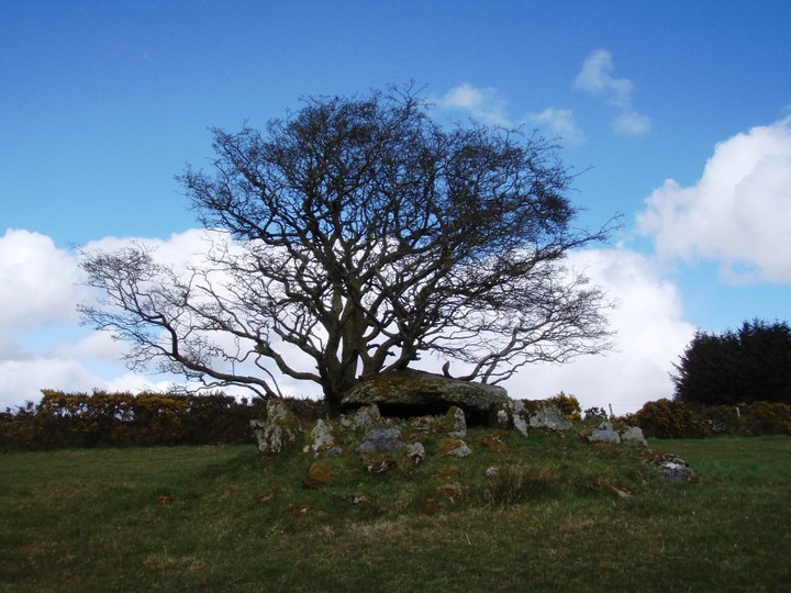 Loughmacrory III (Wedge Tomb) by 12pointer