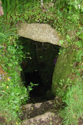 Sancreed Holy Well (Sacred Well) by goffik