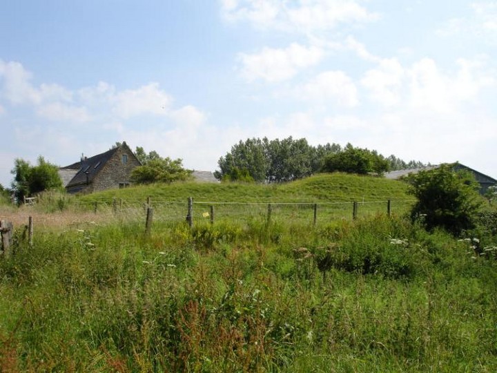 Sodbury Camp (Hillfort) by moss