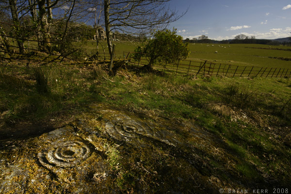 Poltalloch (Cup and Ring Marks / Rock Art) by rockartwolf