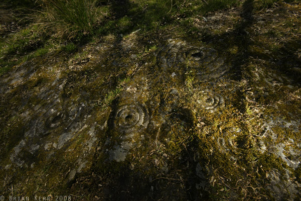 Poltalloch (Cup and Ring Marks / Rock Art) by rockartwolf