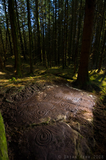 Blairbuie 2 (Cup and Ring Marks / Rock Art) by rockartwolf