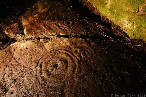 Blairbuie 2 (Cup and Ring Marks / Rock Art) by rockartwolf