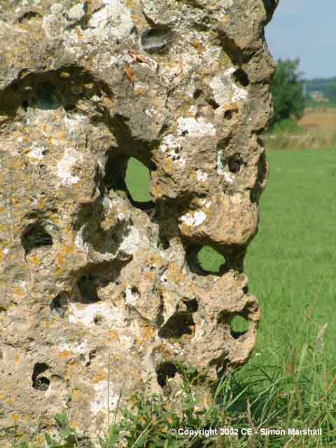 The Longstone of Minchinhampton (Standing Stone / Menhir) by Kammer