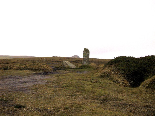 Nine Maidens of Boskednan (Stone Circle) by Holy McGrail