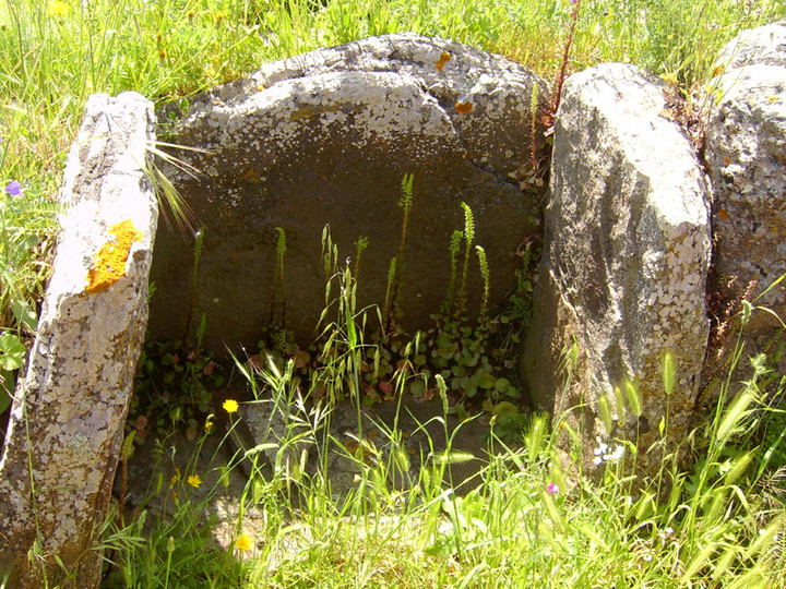 Palatu (Tomba di Giganti) by sals